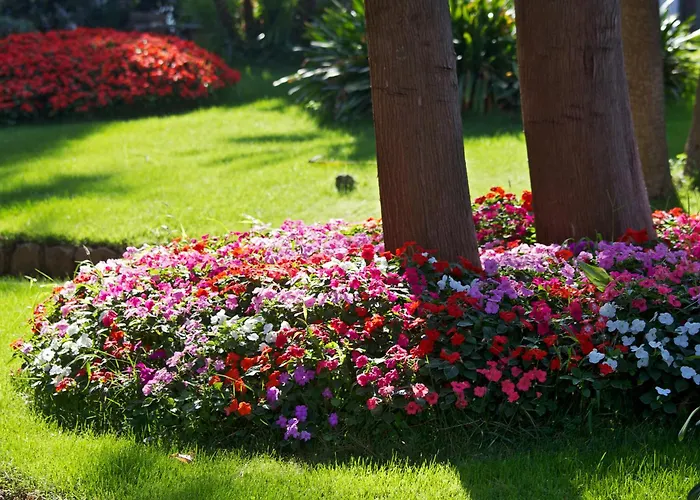 San Michele אנה קאפרי